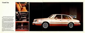 1978 Pontiac LeMans (Cdn)-04-05.jpg